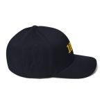 100K Bitcoin Flexfit Hat - Image 3