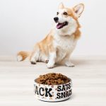 Stack Sats u0026 Snacks Bitcoin Pet Bowl