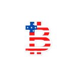 American Flag Bitcoin B Sticker