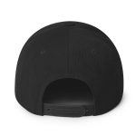 Bitcoin B (Black Embroidery) Snapback Hat - Image 2