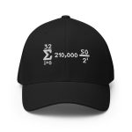 Bitcoin Is Math Flexfit Hat