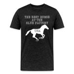 The Best Horse At The Glue Factory Bitcoin T-Shirt