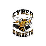 Cyber Hornets Bitcoin Sticker - Image 3
